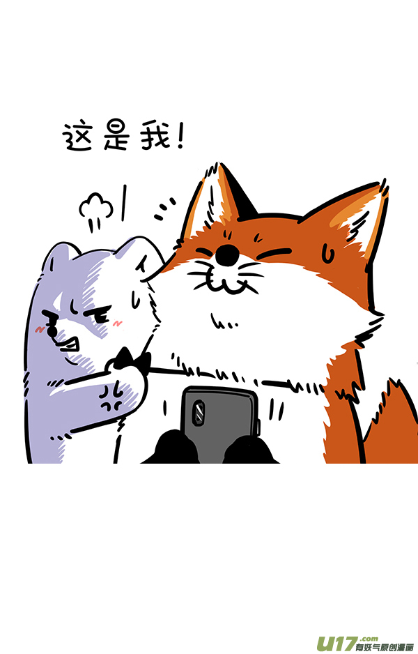 快把动物放进冰箱照片这一拍，生活就很嗨~