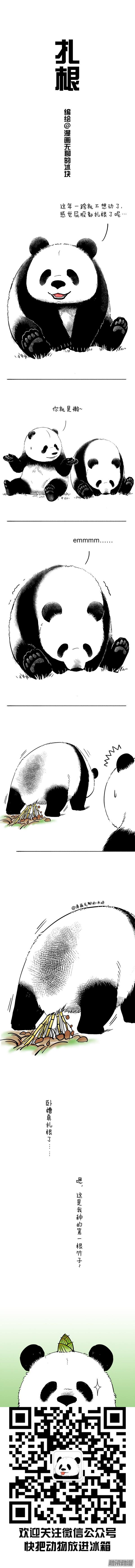 快把动物放进冰箱047 新年不想动2018头像