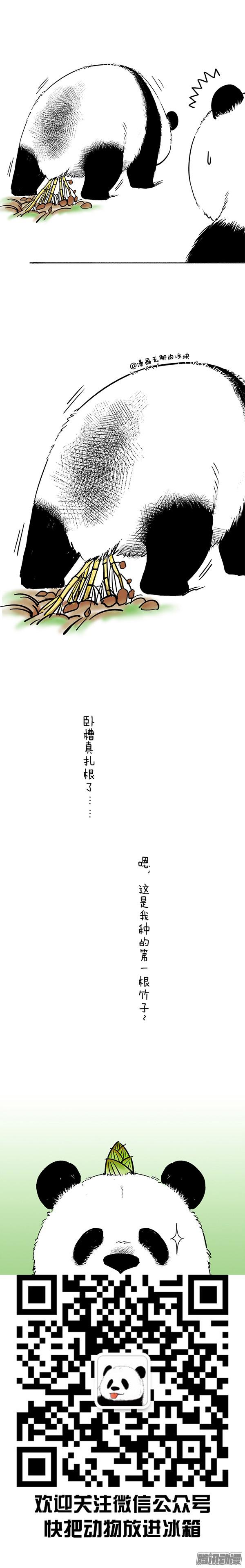 快把动物放进冰箱047 新年不想动2018头像