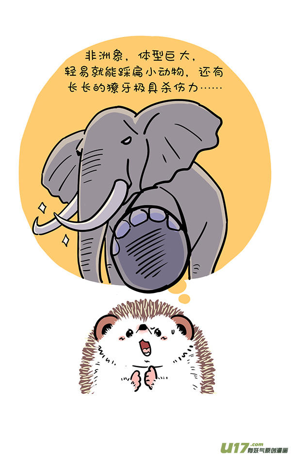 快把动物放进冰箱致命／竞争