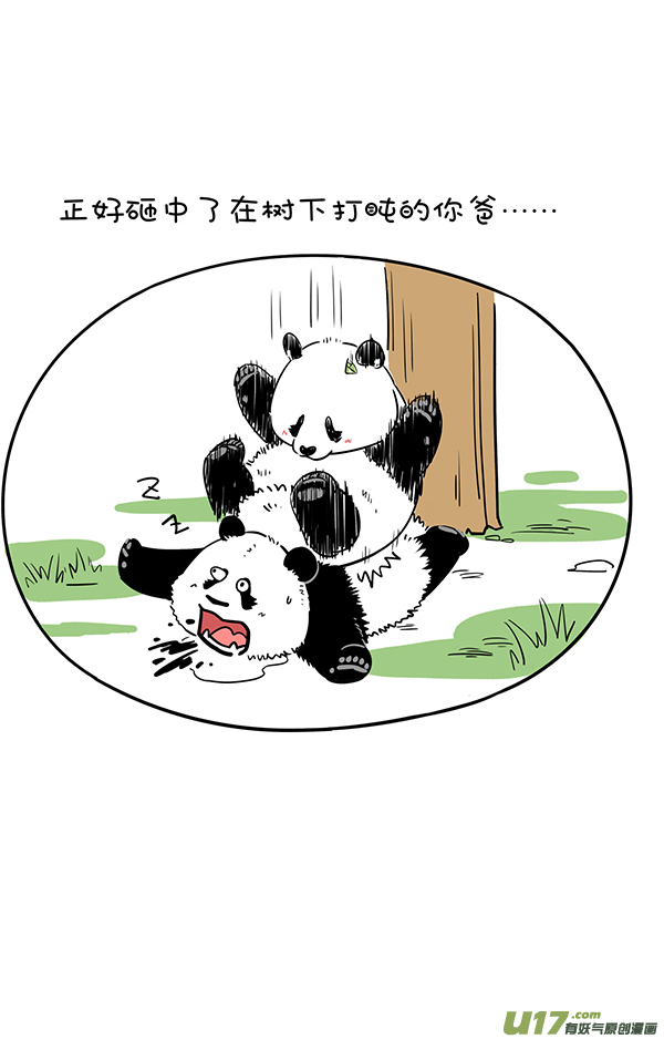 快把动物放进冰箱致命／竞争