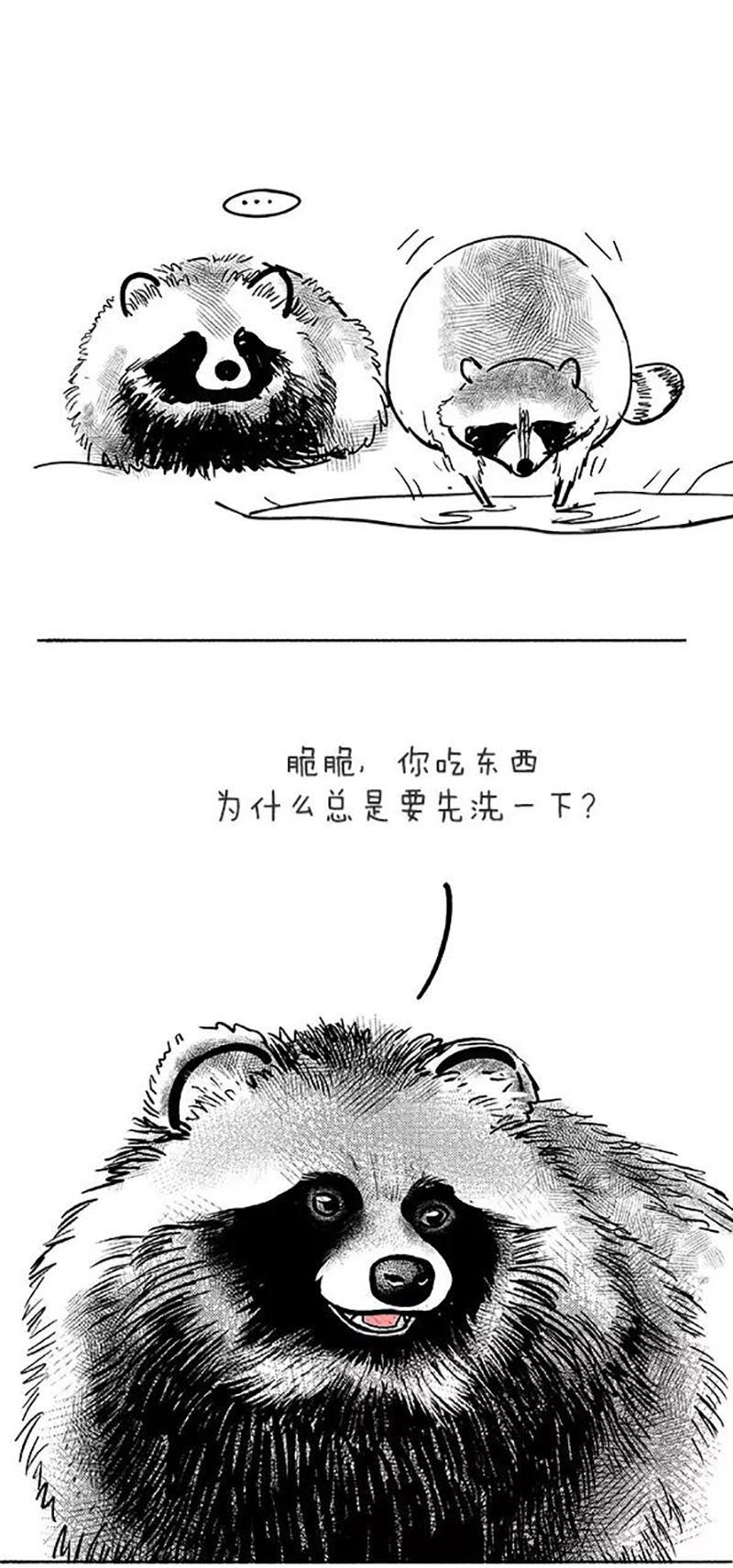 快把动物放进冰箱073 做熊的原则