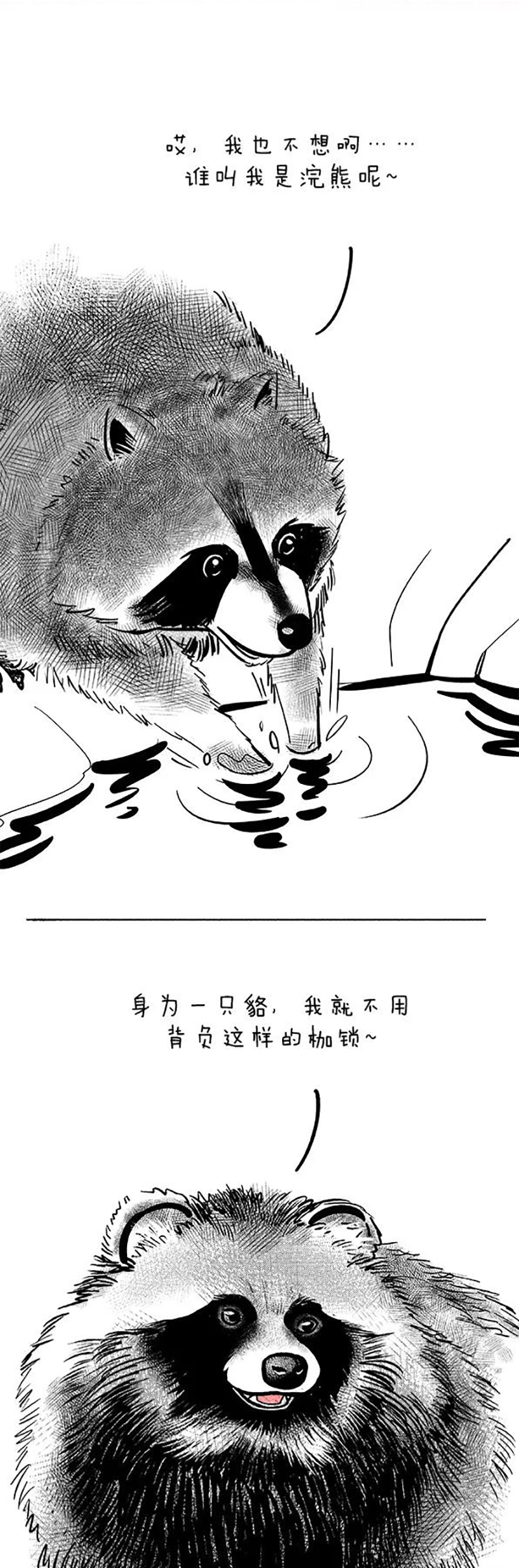快把动物放进冰箱073 做熊的原则