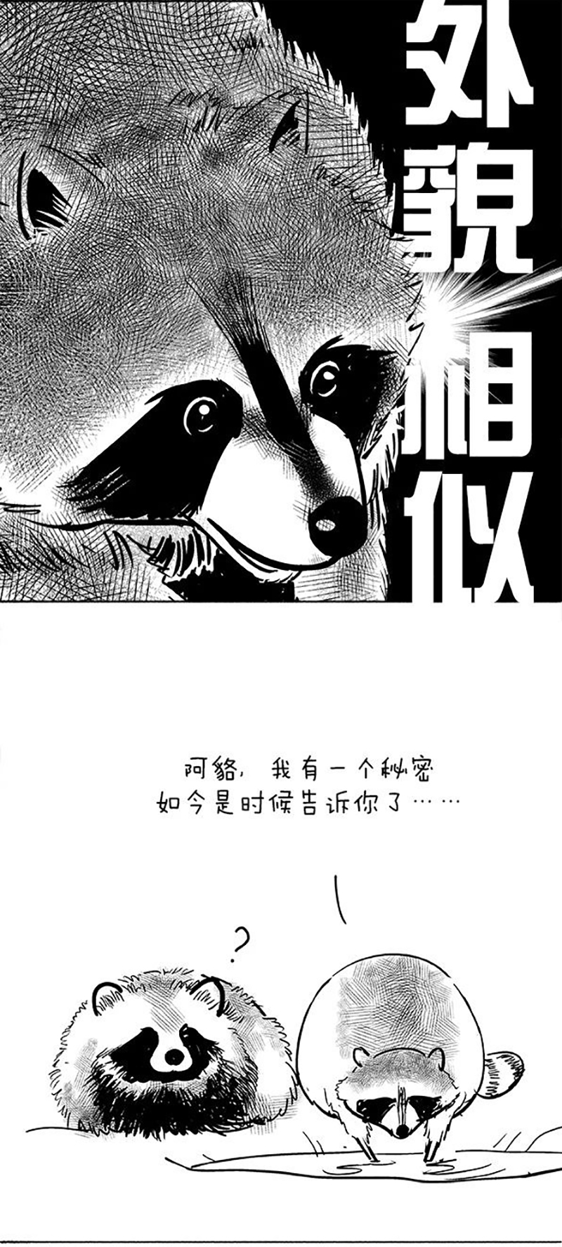 快把动物放进冰箱073 做熊的原则