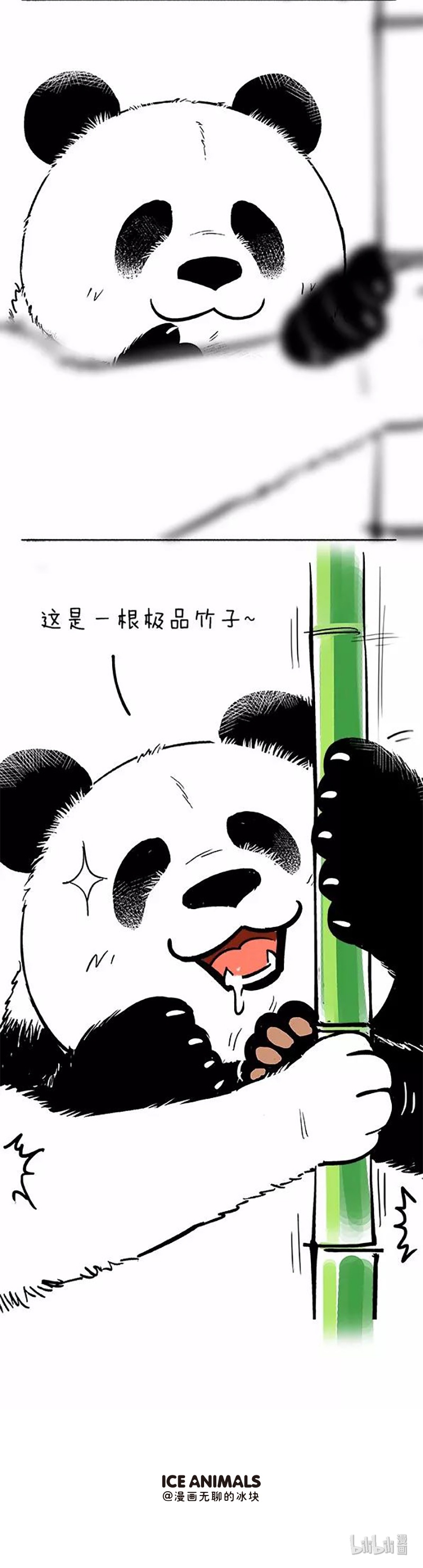 快把动物放进冰箱074 轮单身狗和吃货的本质区别
