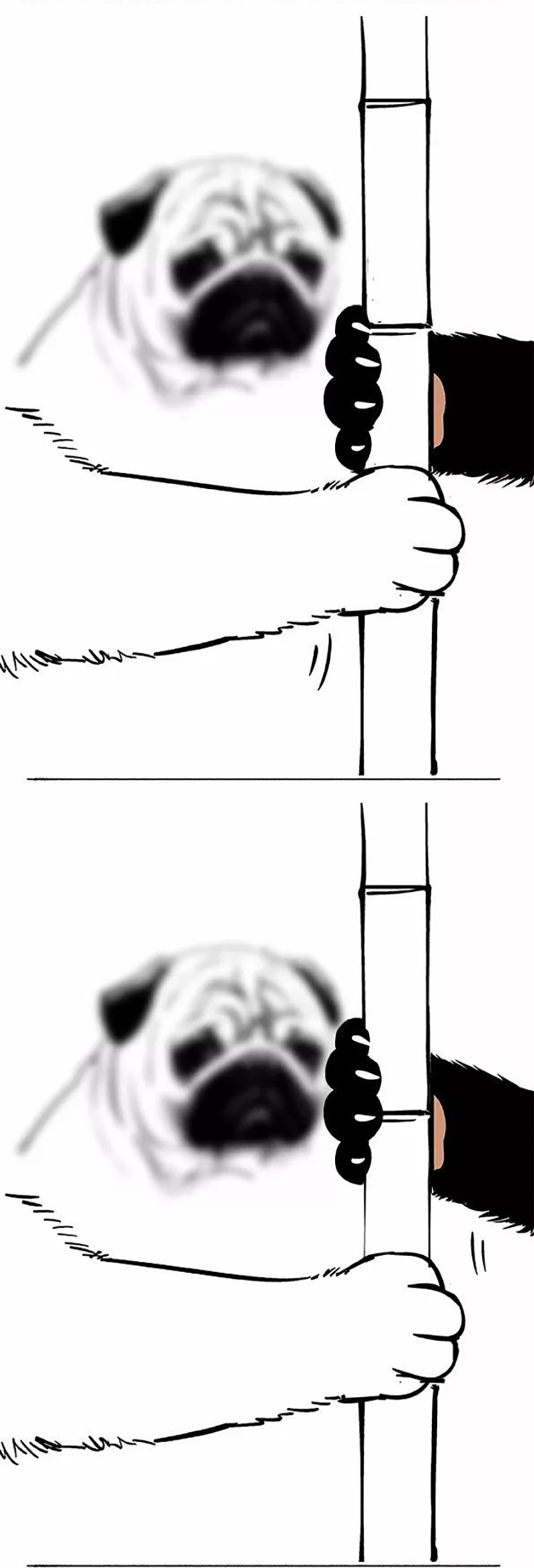 快把动物放进冰箱074 轮单身狗和吃货的本质区别