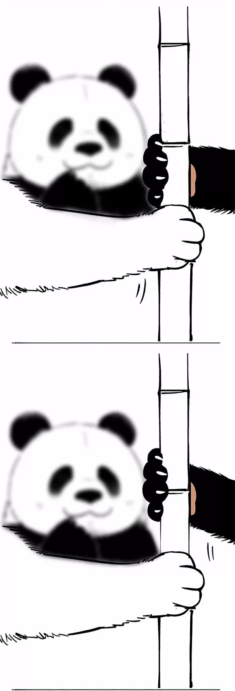 快把动物放进冰箱074 轮单身狗和吃货的本质区别