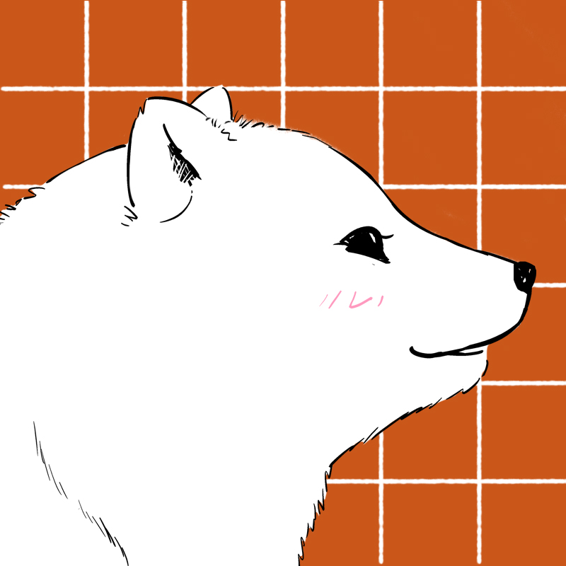 快把动物放进冰箱076 春末高能卖萌头像壁纸