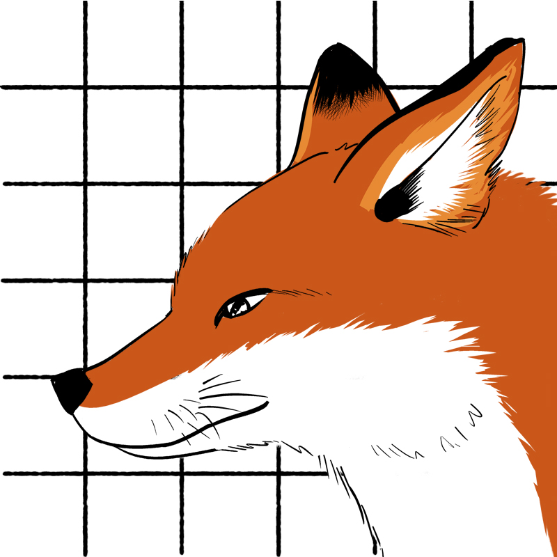 快把动物放进冰箱076 春末高能卖萌头像壁纸