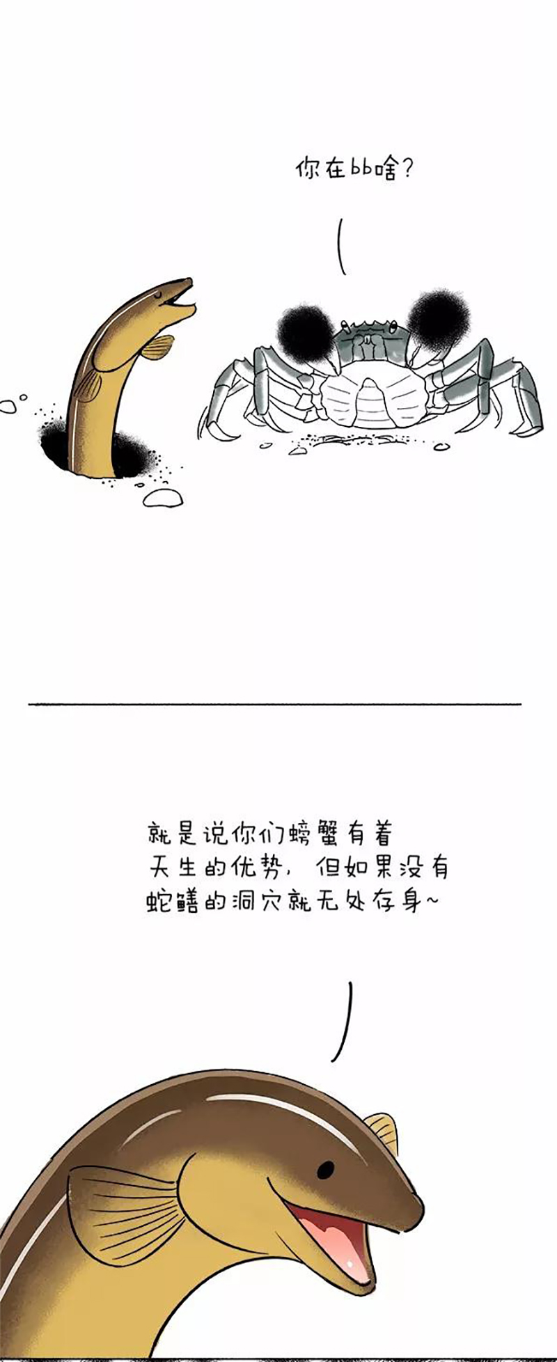 快把动物放进冰箱078 劳动节的由来