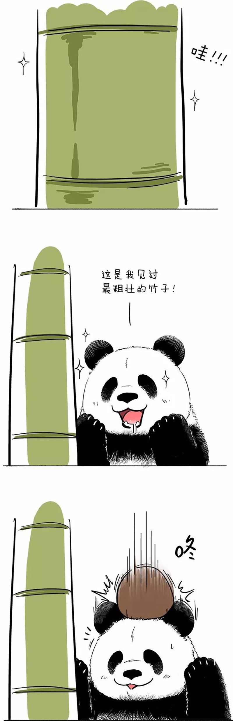 快把动物放进冰箱079 熊在普吉之“泰熊”篇01