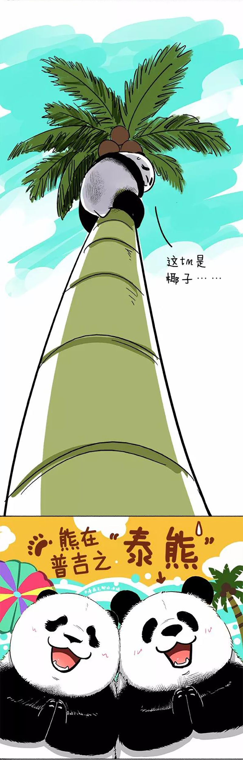 快把动物放进冰箱079 熊在普吉之“泰熊”篇01