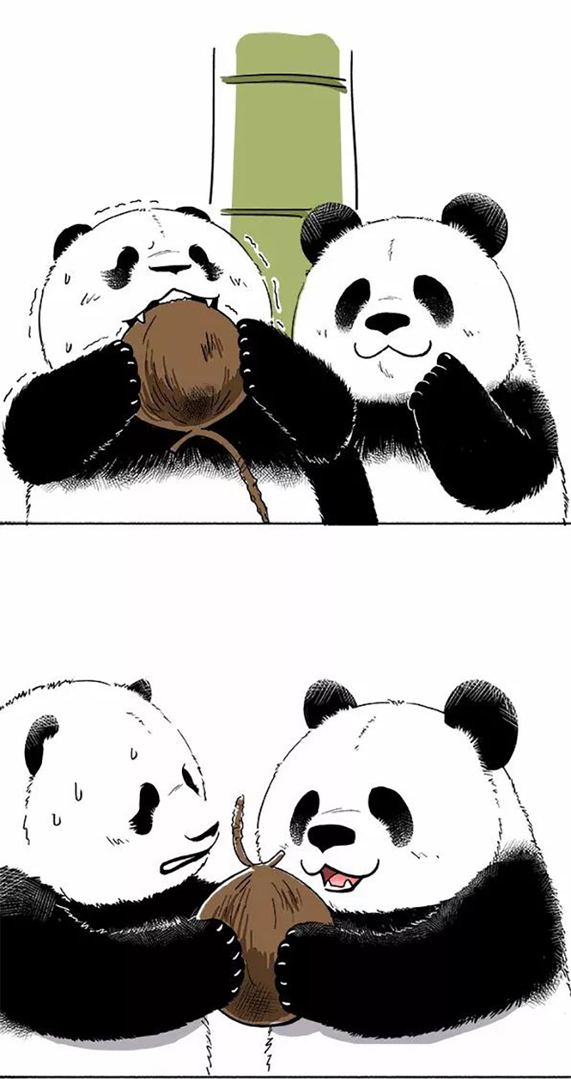快把动物放进冰箱079 熊在普吉之“泰熊”篇01