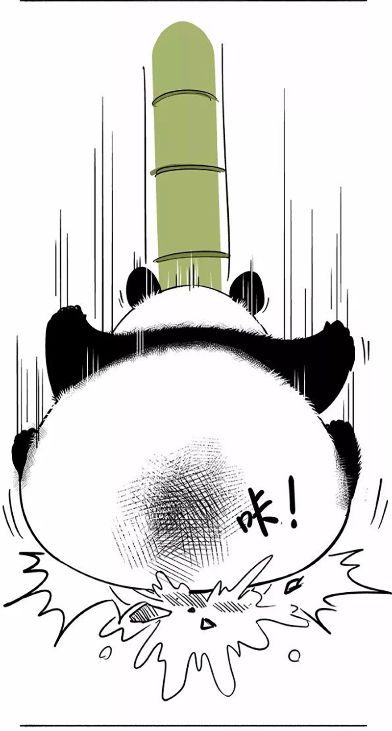快把动物放进冰箱079 熊在普吉之“泰熊”篇01