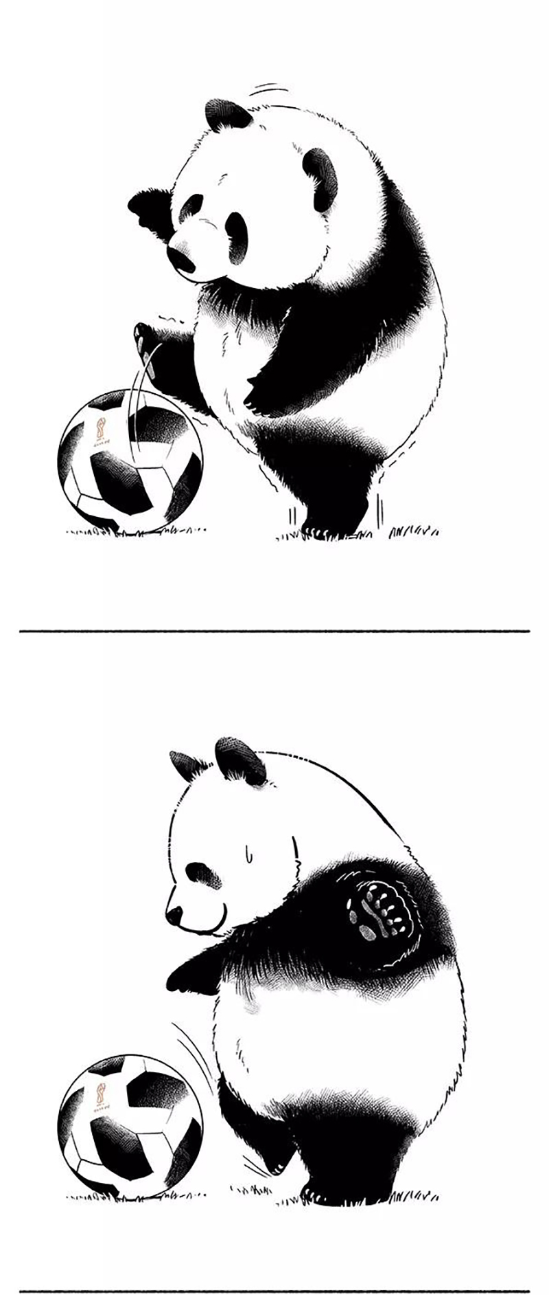 快把动物放进冰箱088 你长的像个球一样还踢个球啊