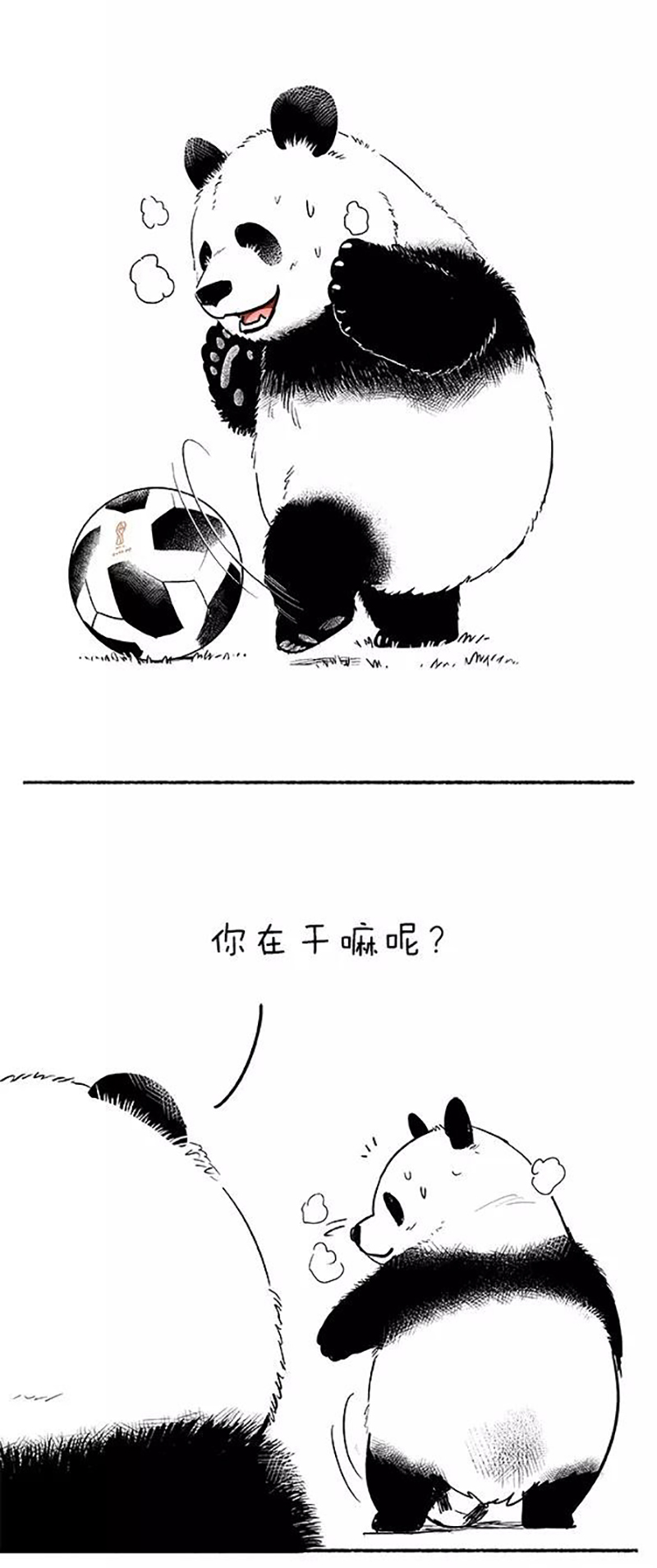 快把动物放进冰箱088 你长的像个球一样还踢个球啊