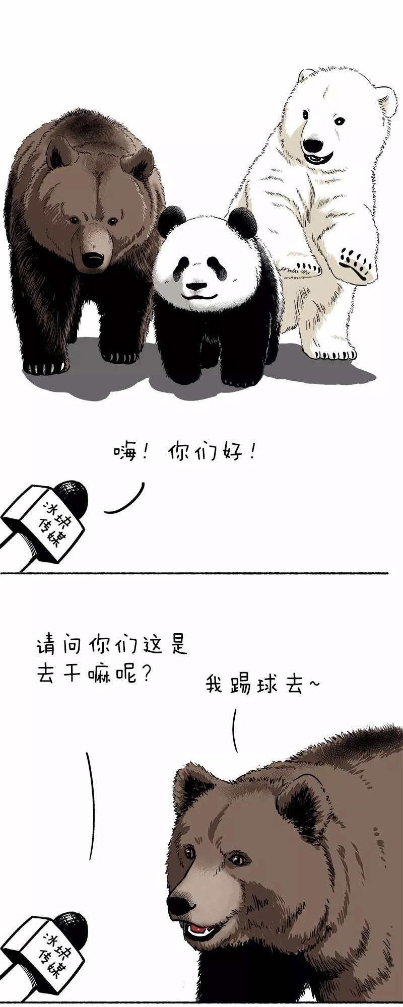 快把动物放进冰箱090 踢球