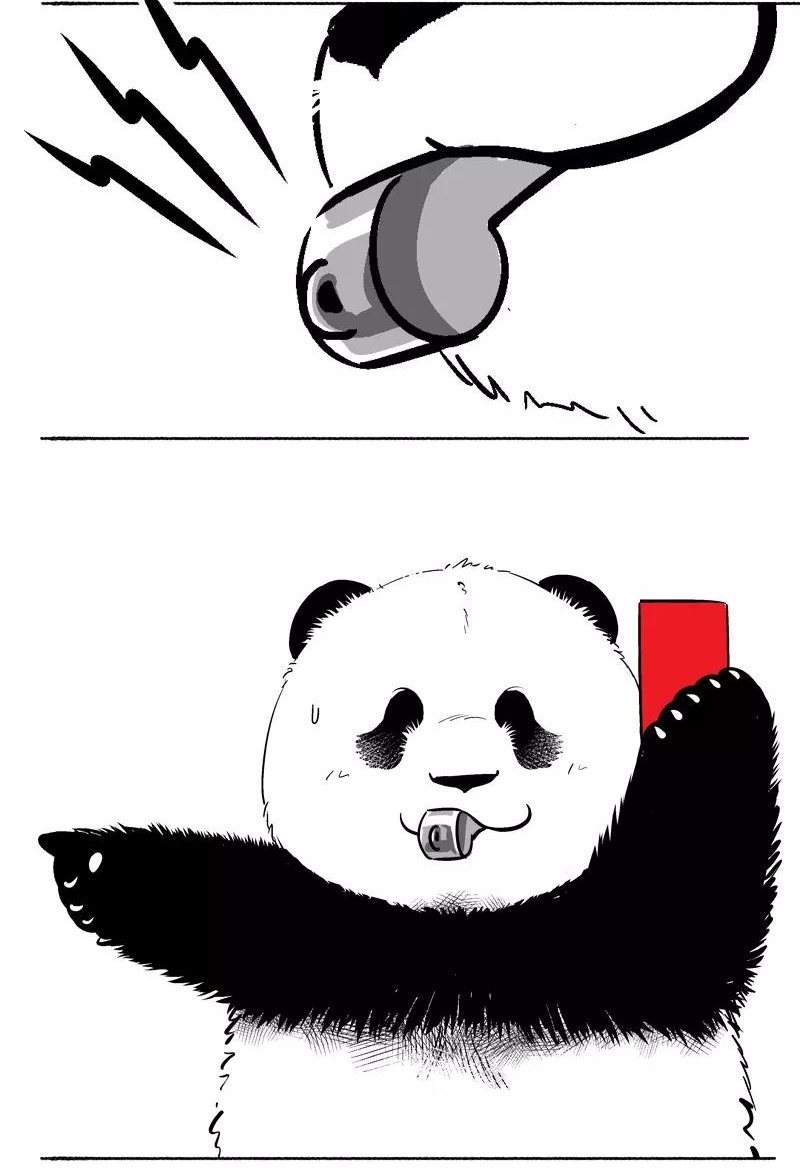 快把动物放进冰箱091 这位的头球主办方都怕