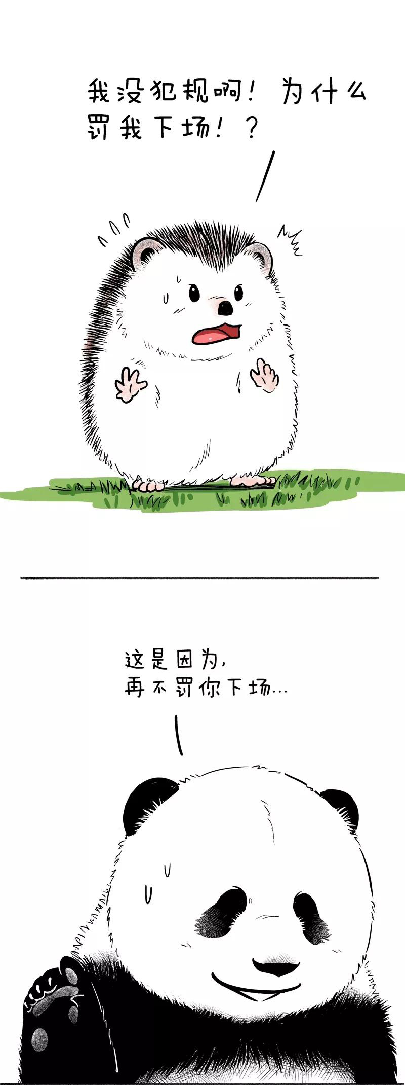 快把动物放进冰箱091 这位的头球主办方都怕