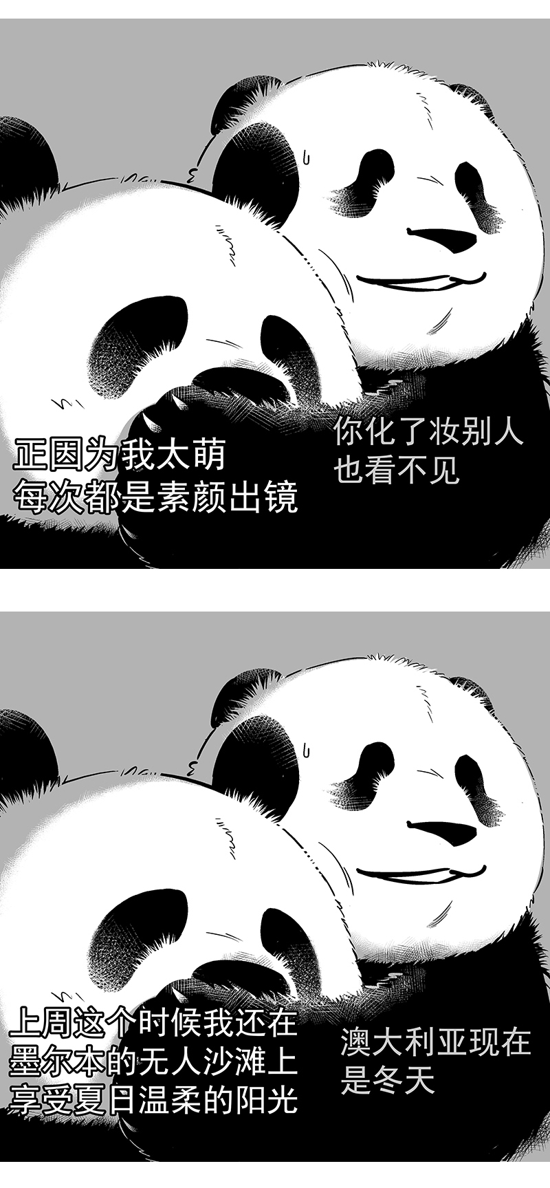 快把动物放进冰箱093 装逼翻车现场