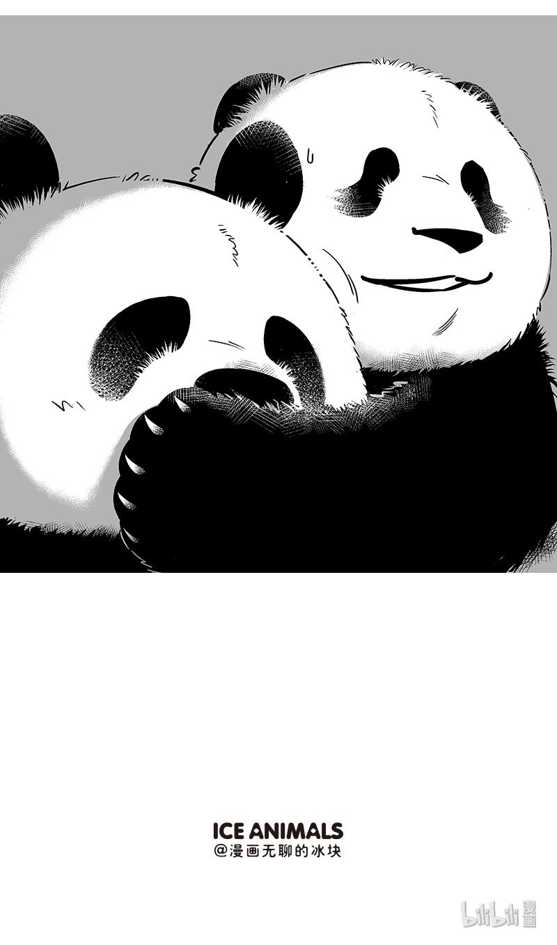 快把动物放进冰箱093 装逼翻车现场