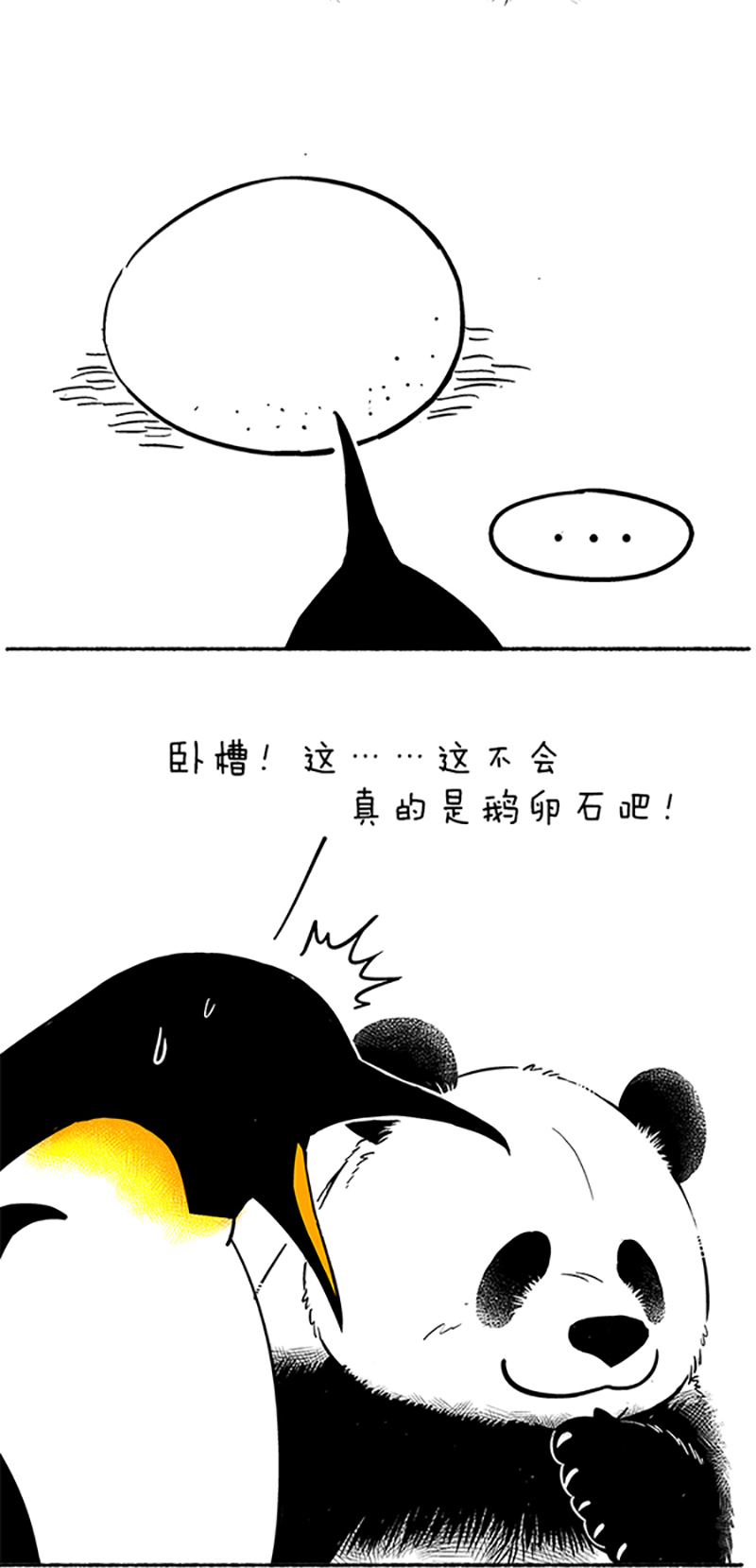 快把动物放进冰箱094 蛋是怎么被冷死的（上）