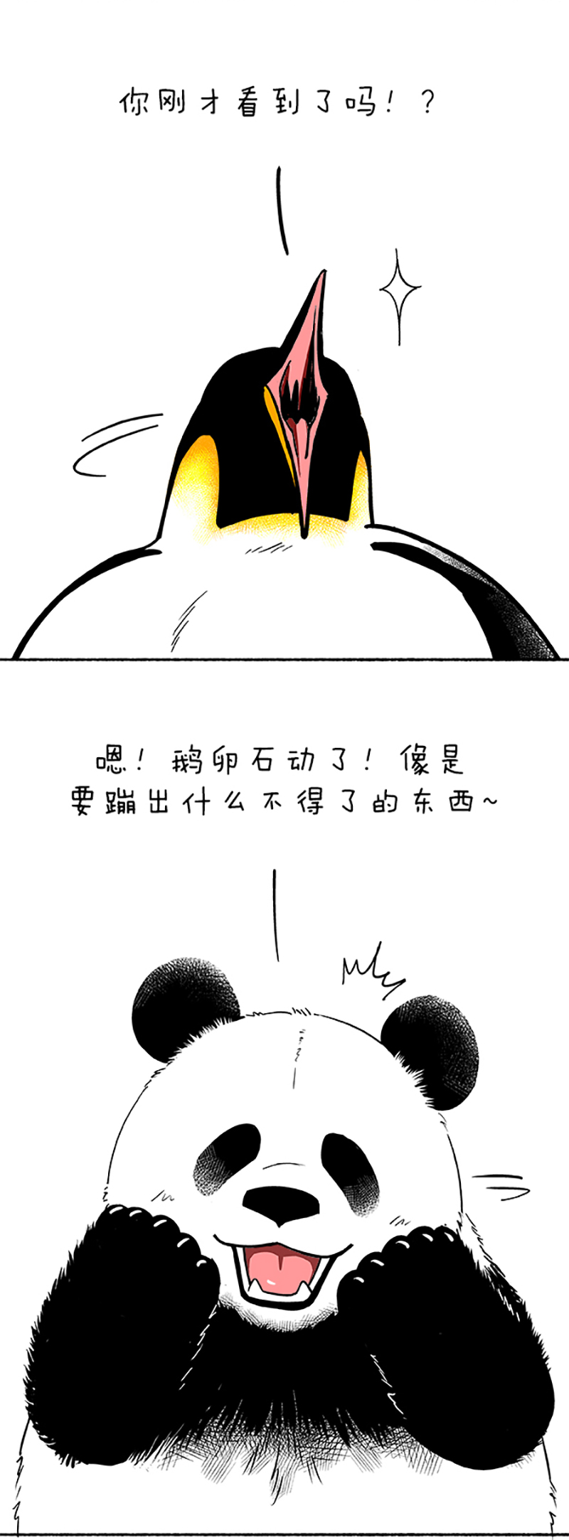 快把动物放进冰箱094 蛋是怎么被冷死的（上）