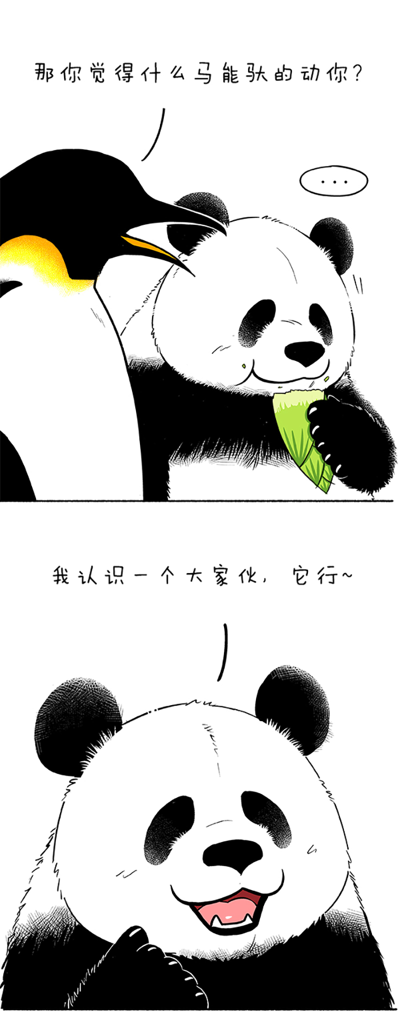 快把动物放进冰箱095 蛋是怎么被冷死的（下）
