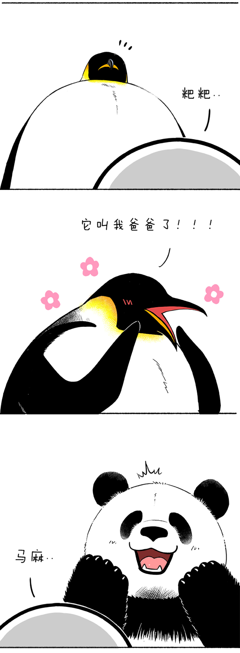 快把动物放进冰箱097 没错，这只蛋是亲生的