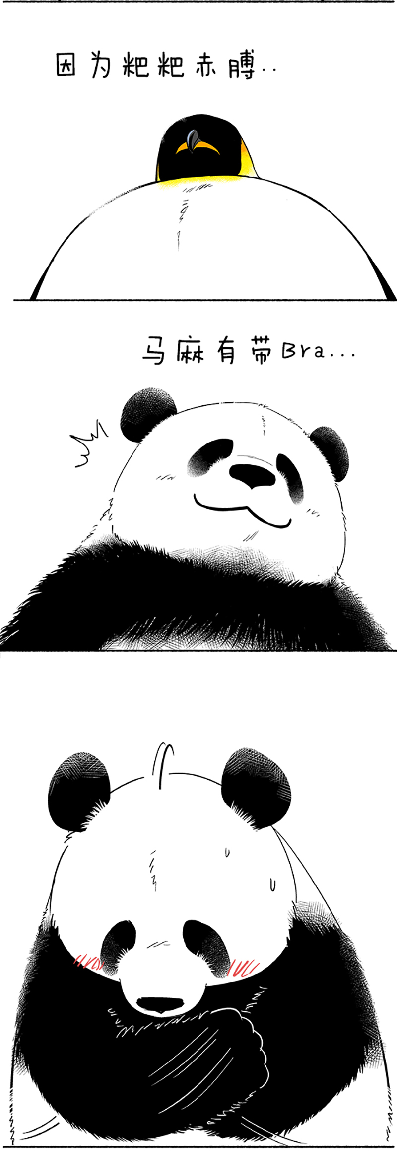 快把动物放进冰箱097 没错，这只蛋是亲生的