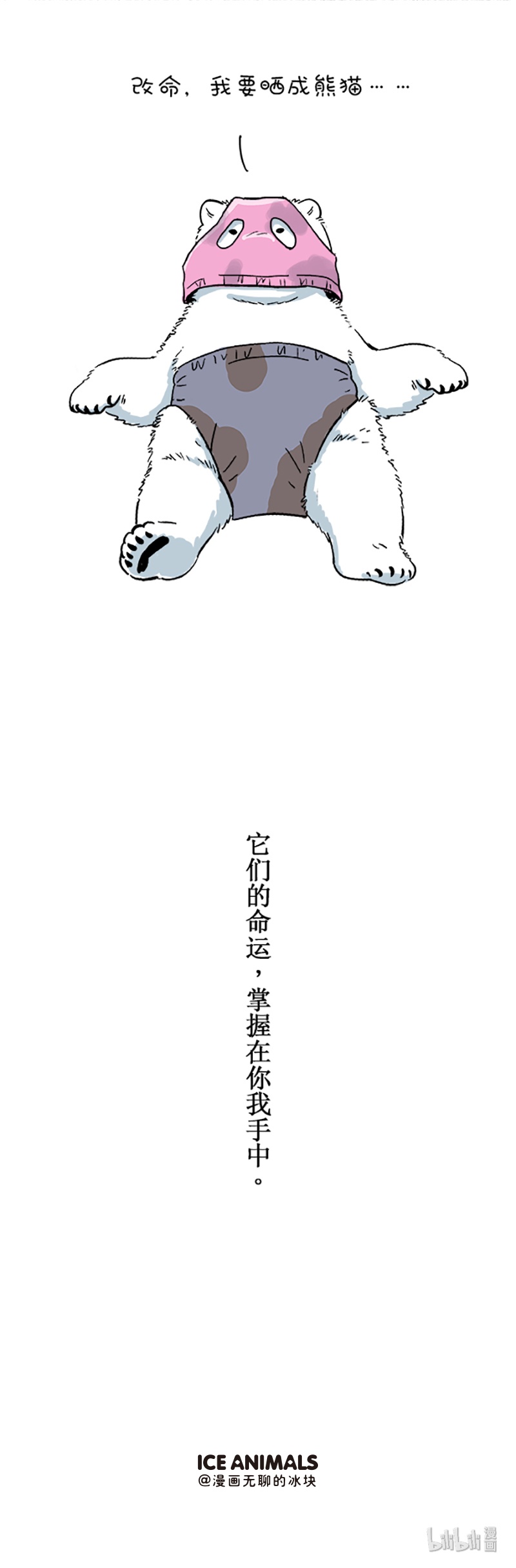 快把动物放进冰箱110 世界动物日 小白熊有一个梦