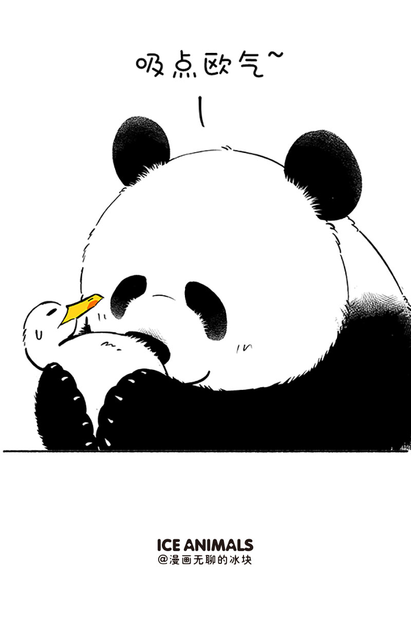 快把动物放进冰箱111 转发这“头”锦鲤