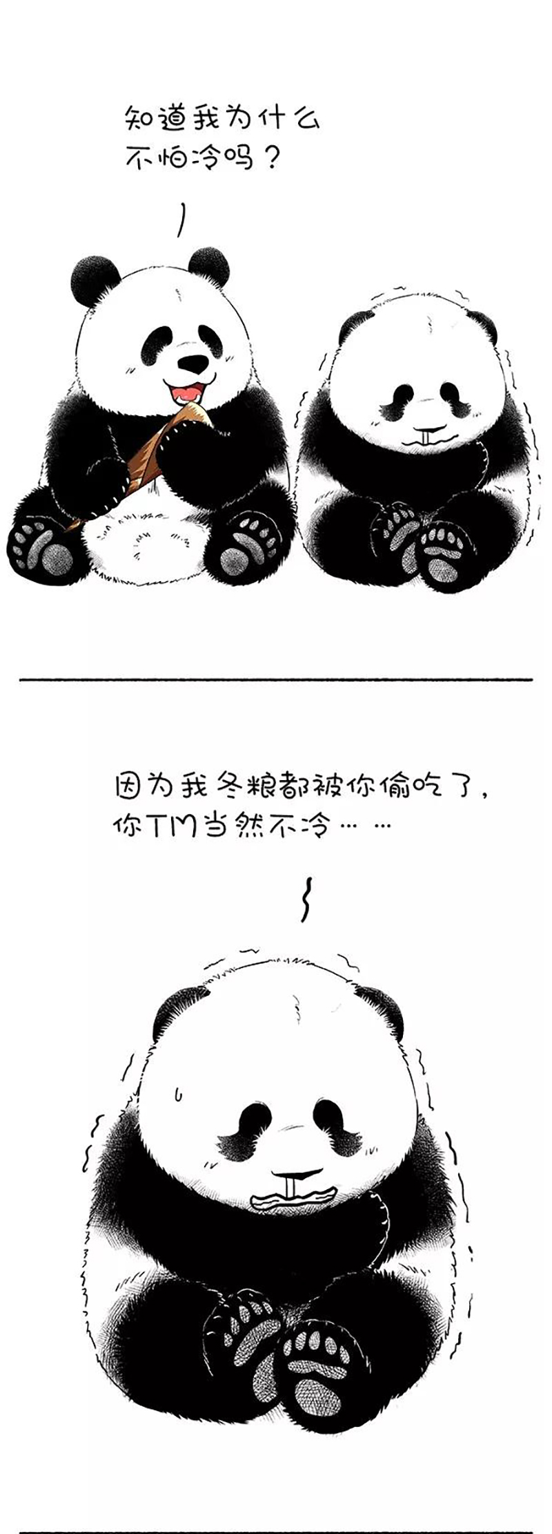 快把动物放进冰箱127 注意！这次是很认真的降温