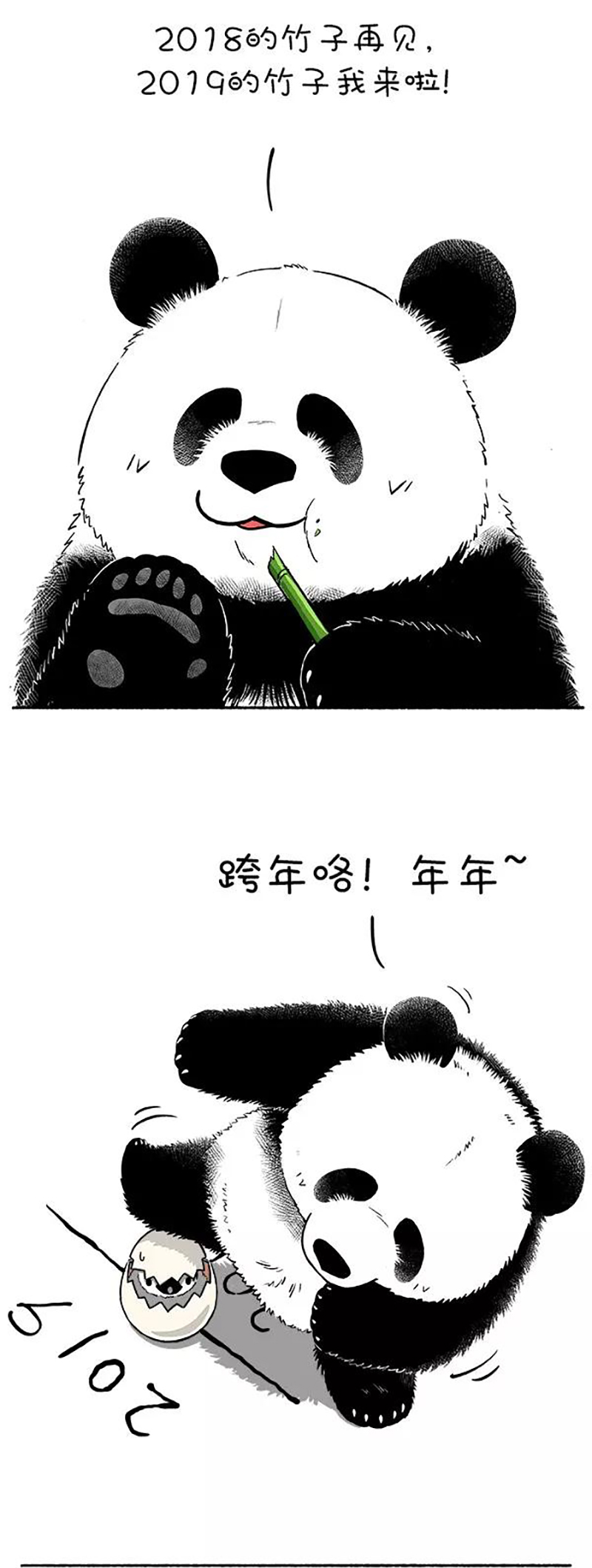 快把动物放进冰箱128 新年要过的有仪式感~