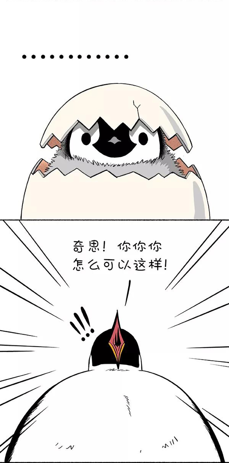 快把动物放进冰箱128 新年要过的有仪式感~