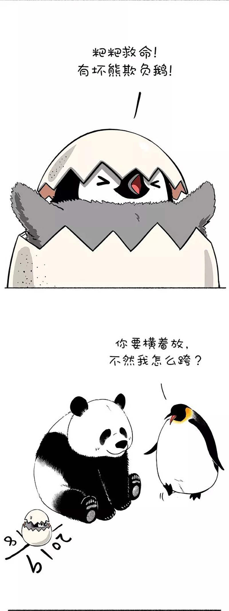 快把动物放进冰箱128 新年要过的有仪式感~
