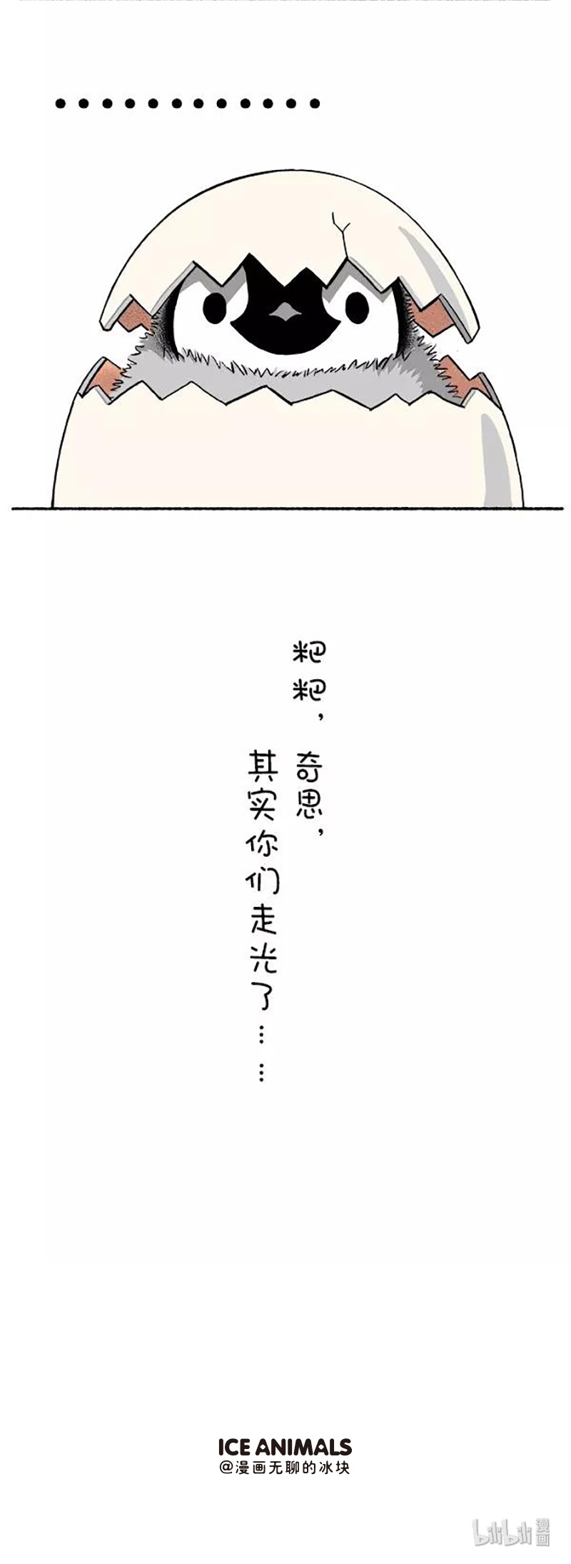 快把动物放进冰箱128 新年要过的有仪式感~