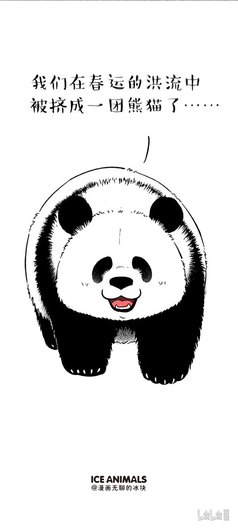 快把动物放进冰箱136 过年话家，爹妈都不认我了
