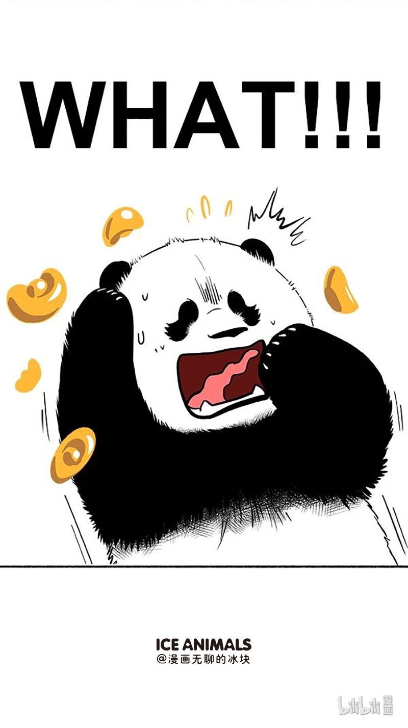 快把动物放进冰箱138 今晚，我给大家讲个恐怖故事