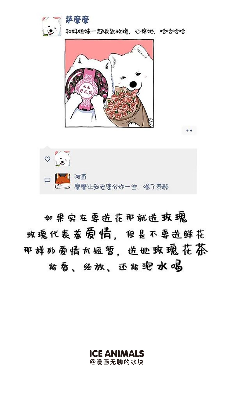 快把动物放进冰箱141 这样的礼物才能轻易打开她的芳心