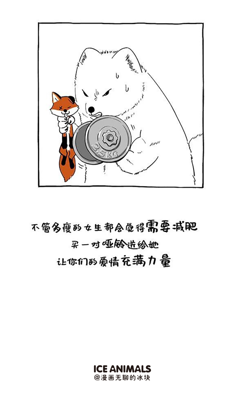 快把动物放进冰箱141 这样的礼物才能轻易打开她的芳心
