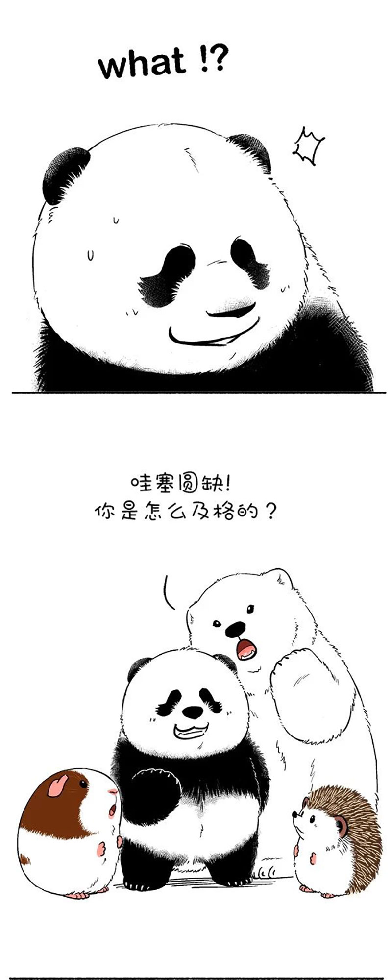 快把动物放进冰箱142 寒假玩嗨了，开学考试怎么破