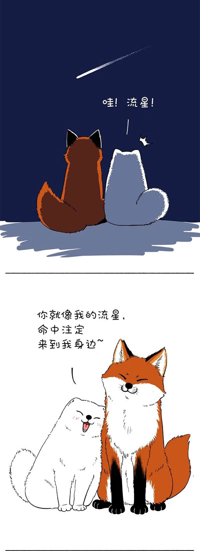 快把动物放进冰箱144 最美的爱情，原来画面如此惨烈