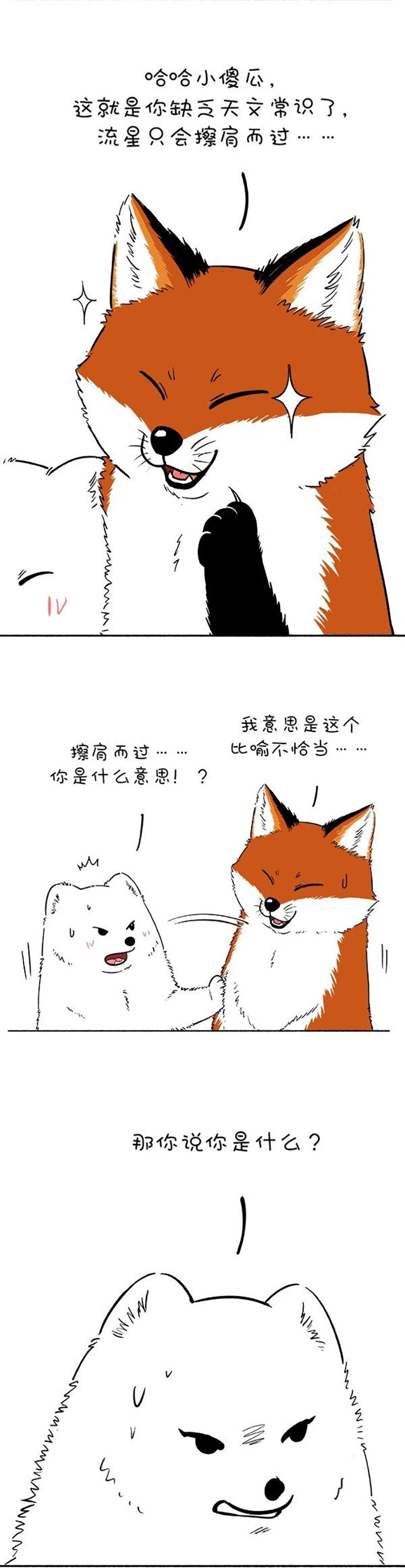 快把动物放进冰箱144 最美的爱情，原来画面如此惨烈