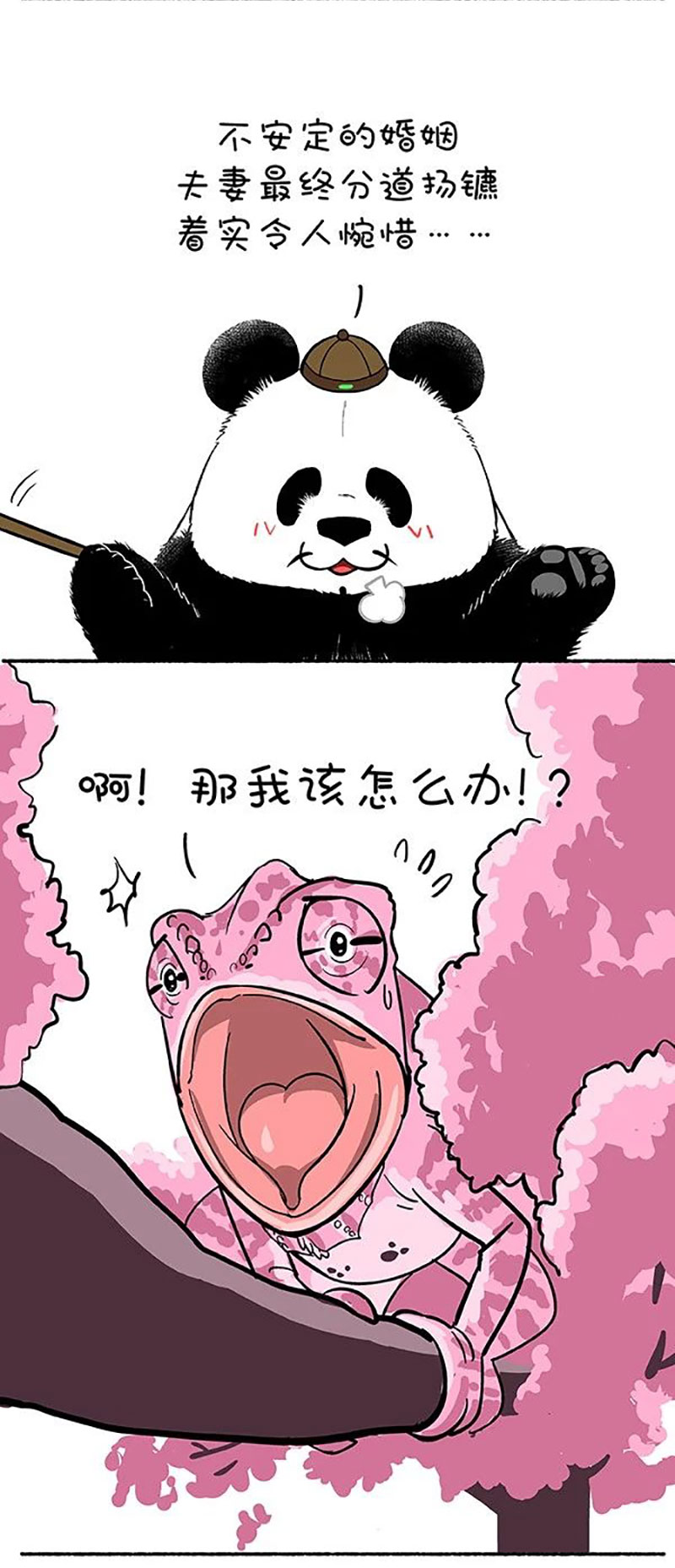 快把动物放进冰箱146 奇大师不框你之爱到白头