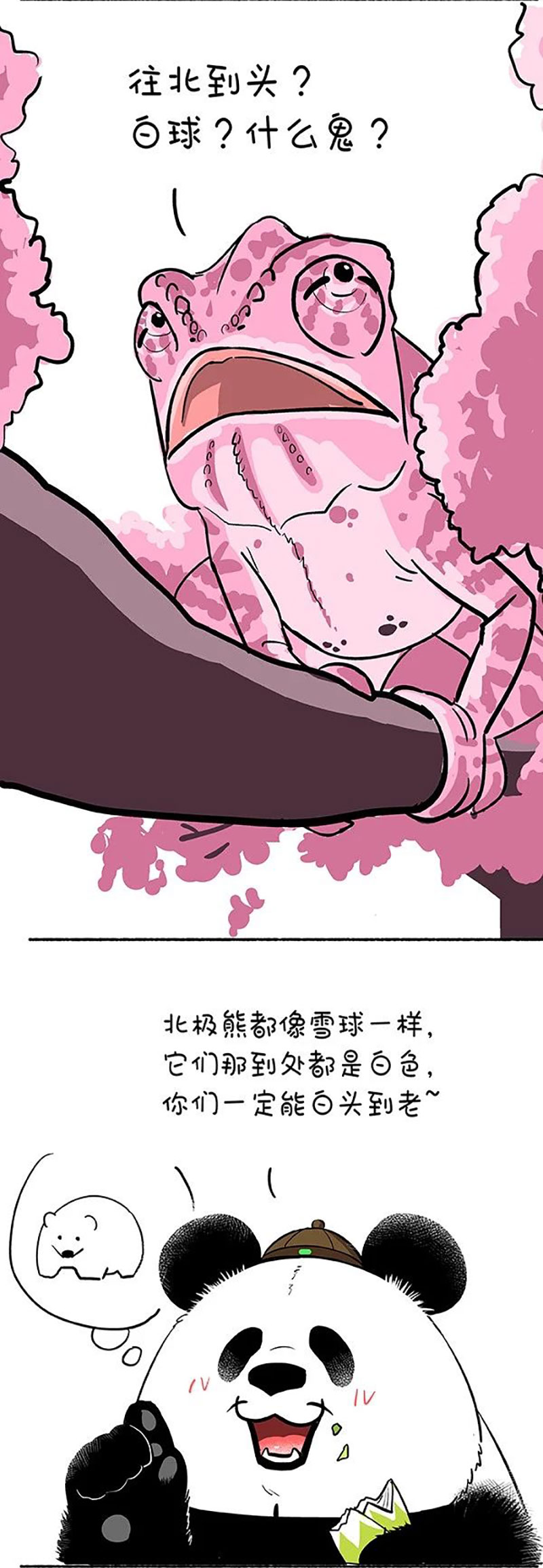 快把动物放进冰箱146 奇大师不框你之爱到白头