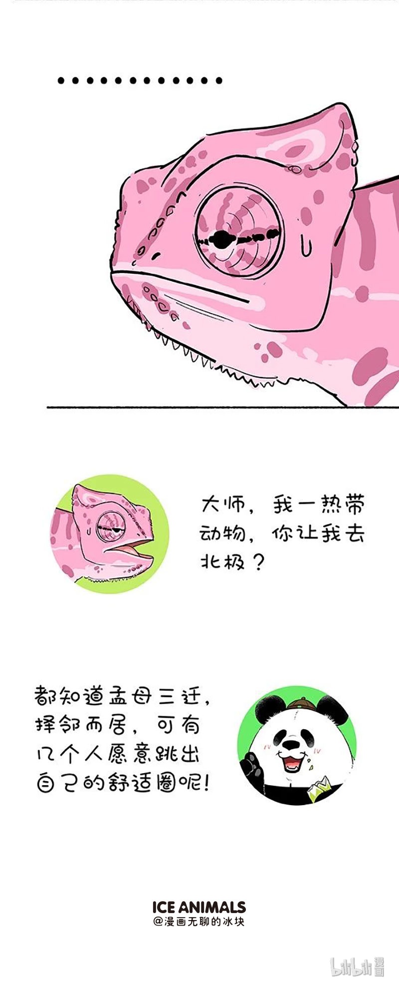 快把动物放进冰箱146 奇大师不框你之爱到白头