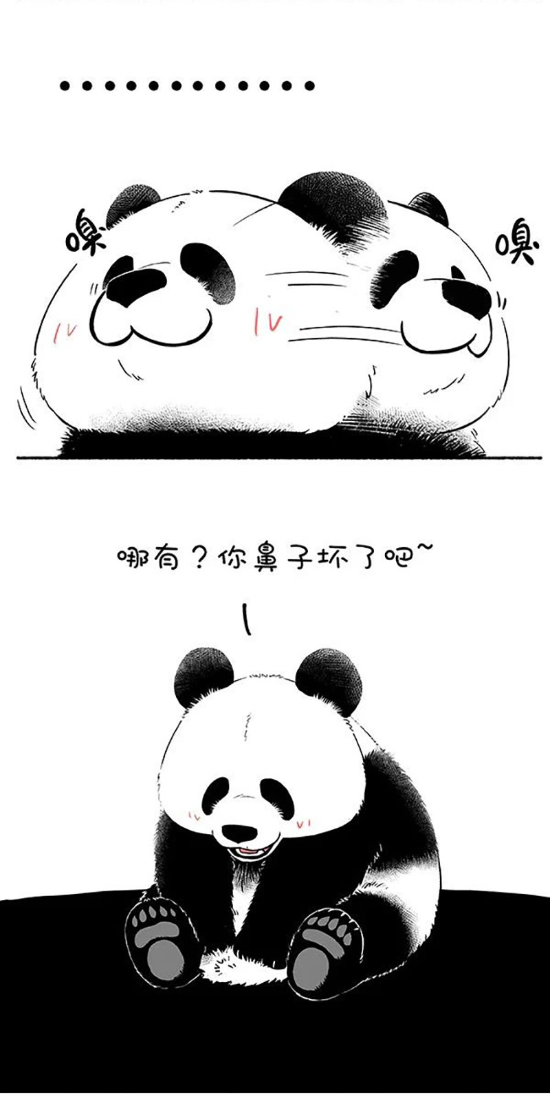 快把动物放进冰箱149 清明，有一种淡淡的氛围叫做......