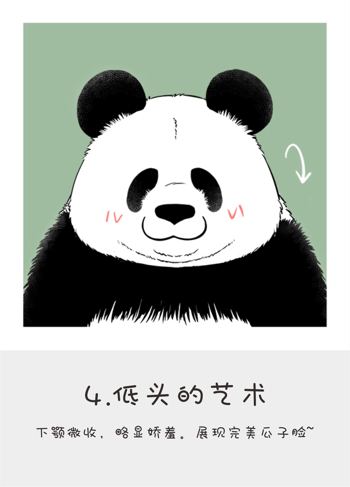 快把动物放进冰箱152 滚滚自拍秘籍--完美瘦脸篇