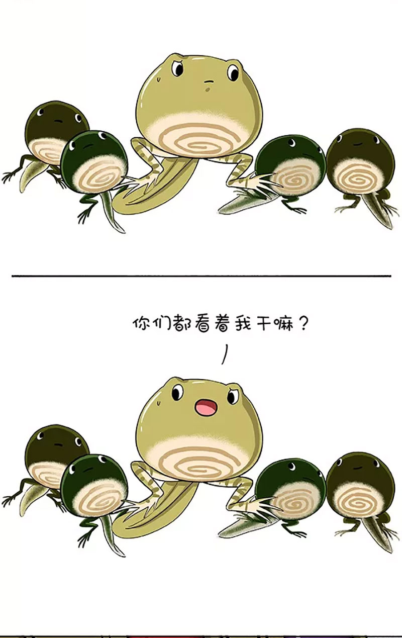 快把动物放进冰箱155 给点面子，我好歹也是神器